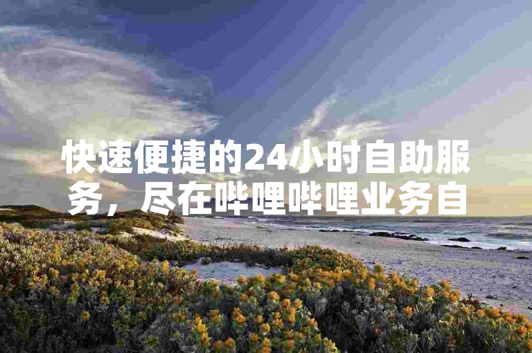 快速便捷的24小时自助服务，尽在哔哩哔哩业务自助平台。