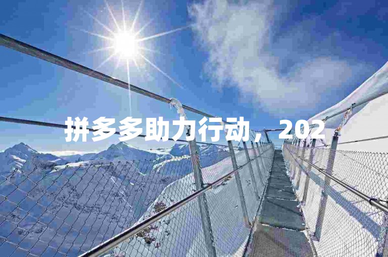拼多多助力行动，2025年目标，真人帮助力引领新篇章