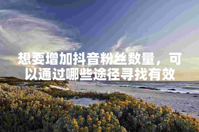想要增加抖音粉丝数量，可以通过哪些途径寻找有效的辅助软件或工具？