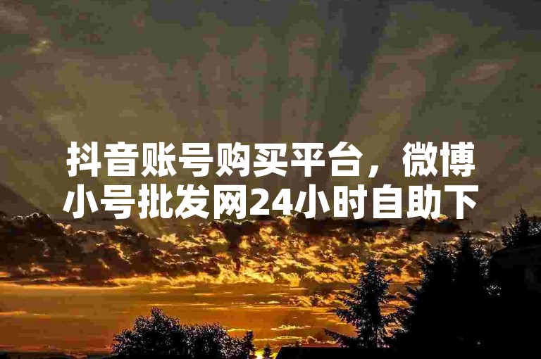 抖音账号购买平台，微博小号批发网24小时自助下单。