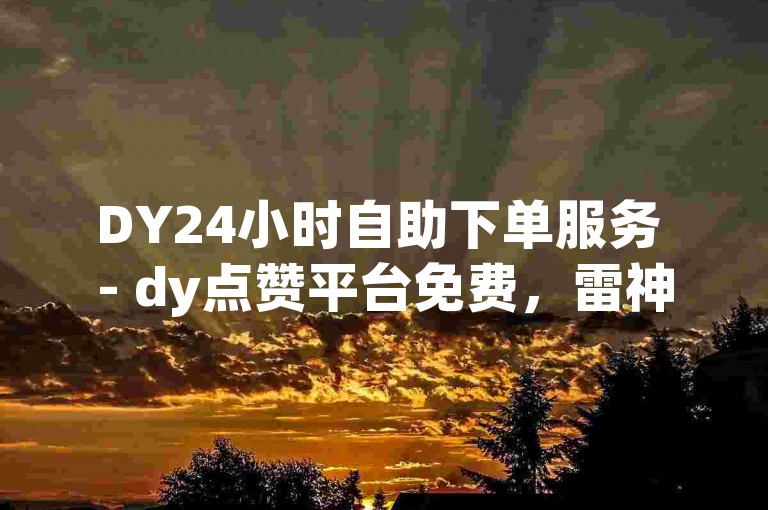 DY24小时自助下单服务 - dy点赞平台免费，雷神dy业务快速在线处理