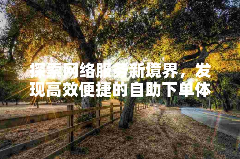 探索网络服务新境界，发现高效便捷的自助下单体验，尽在专业的QQ辅助注册服务平台，更有刷粉网免费资源大放送。