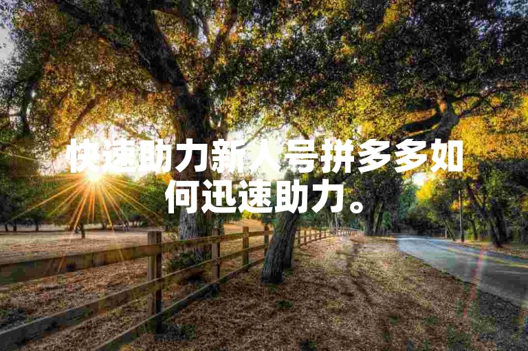 快速助力新人号拼多多如何迅速助力。