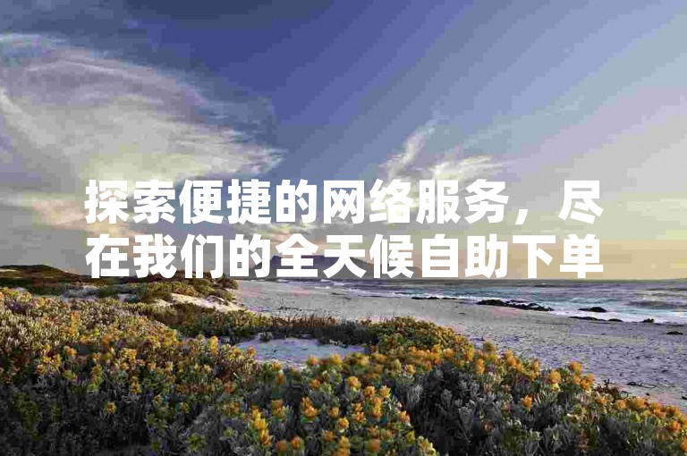探索便捷的网络服务，尽在我们的全天候自助下单网站。