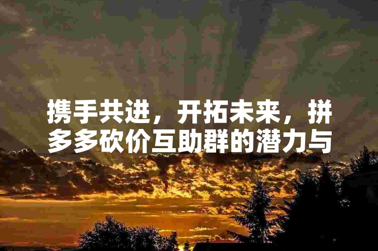 携手共进，开拓未来，拼多多砍价互助群的潜力与发展方向探讨。