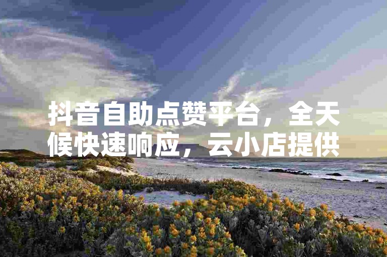 抖音自助点赞平台，全天候快速响应，云小店提供不间断自助服务 - 探索24小时自助下单的便捷商城 - 回森购买真实活跃粉丝，轻松三步完成。
