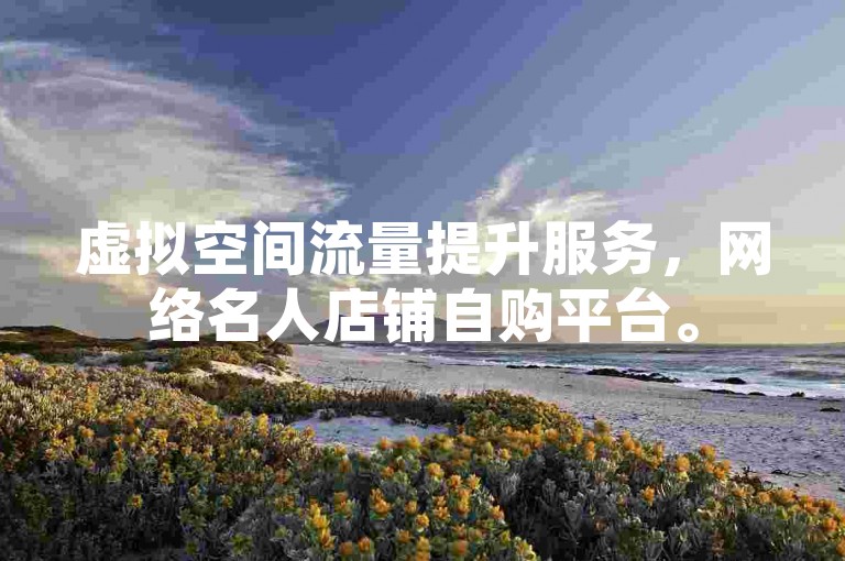 虚拟空间流量提升服务，网络名人店铺自购平台。
