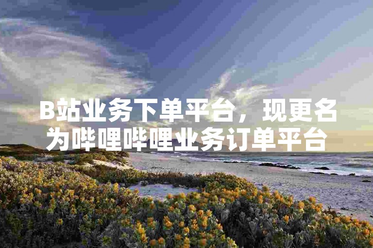 B站业务下单平台，现更名为哔哩哔哩业务订单平台，为您提供更便捷的服务体验。