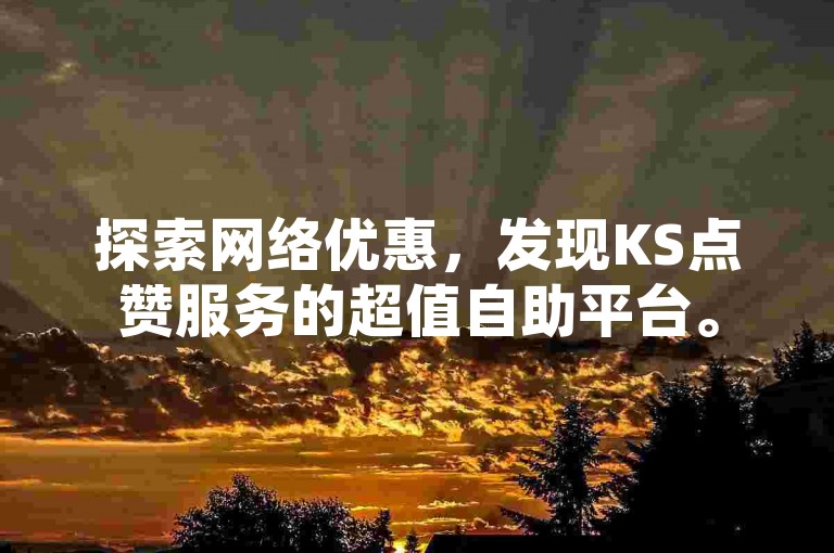 探索网络优惠，发现KS点赞服务的超值自助平台。