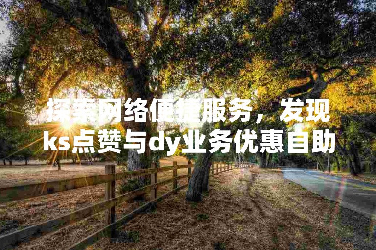 探索网络便捷服务，发现ks点赞与dy业务优惠自助平台。