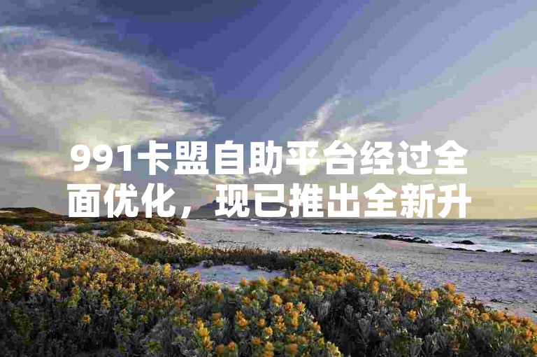 991卡盟自助平台经过全面优化，现已推出全新升级版，为用户提供更便捷的服务体验。