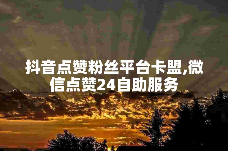 抖音点赞粉丝平台卡盟,微信点赞24自助服务