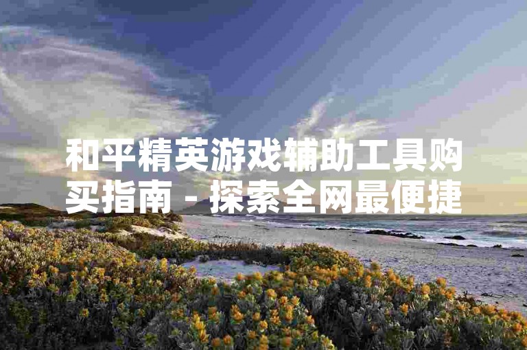 和平精英游戏辅助工具购买指南 - 探索全网最便捷的下单平台。