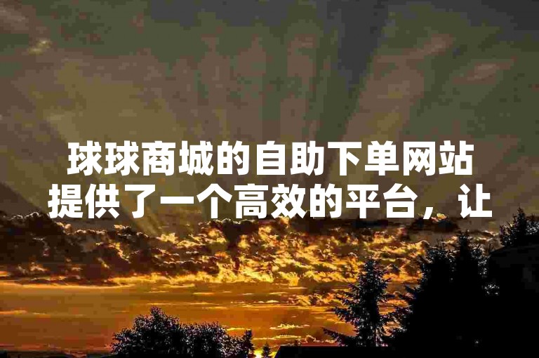 球球商城的自助下单网站提供了一个高效的平台，让用户可以方便地自行完成购物流程。