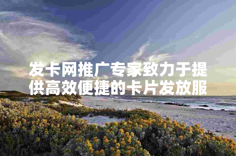发卡网推广专家致力于提供高效便捷的卡片发放服务。