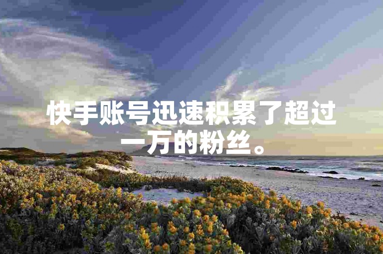 快手账号迅速积累了超过一万的粉丝。