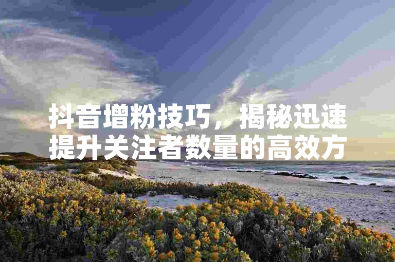 抖音增粉技巧，揭秘迅速提升关注者数量的高效方法。