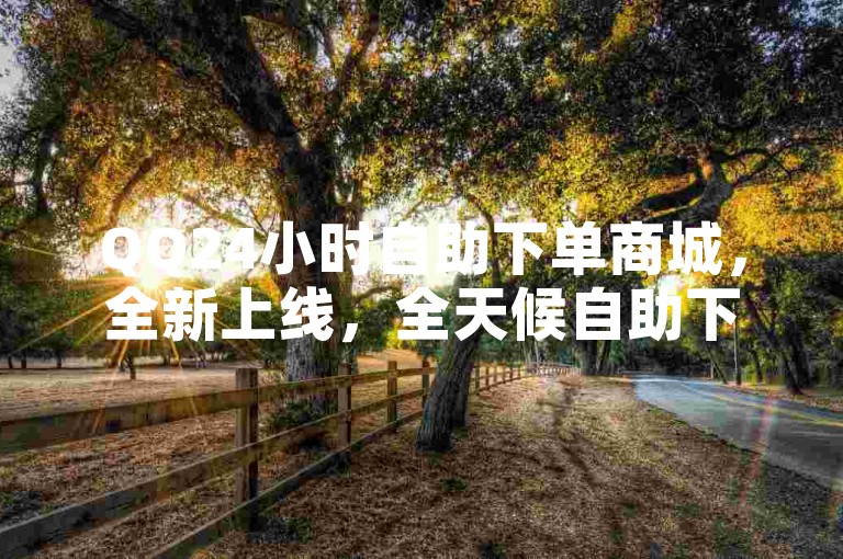QQ24小时自助下单商城，全新上线，全天候自助下单服务等你来体验！