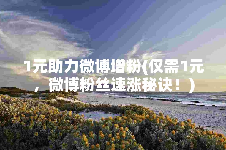 1元助力微博增粉(仅需1元，微博粉丝速涨秘诀！)