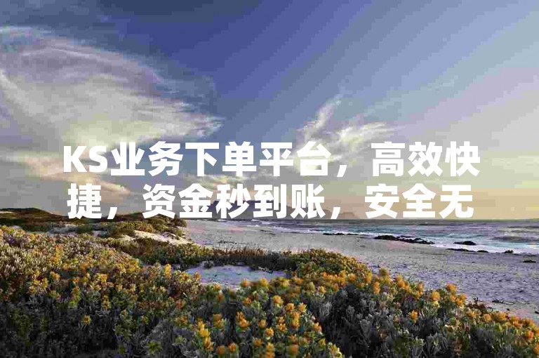 KS业务下单平台，高效快捷，资金秒到账，安全无忧，品质之选！新手上路首选！