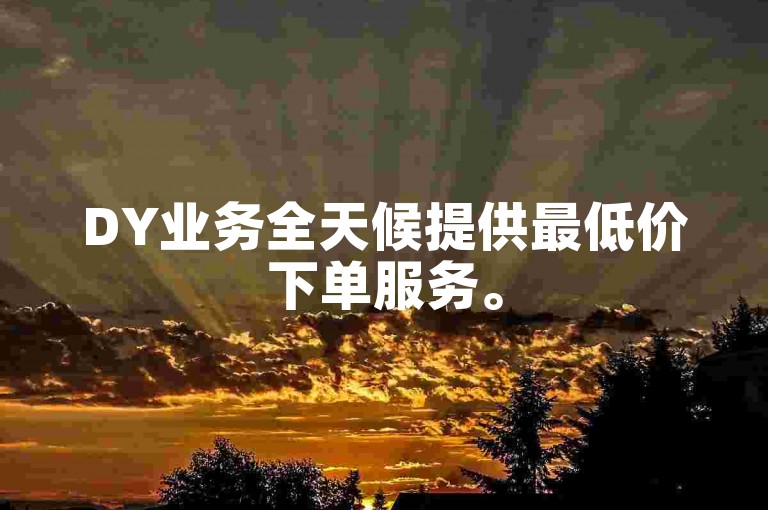 DY业务全天候提供最低价下单服务。