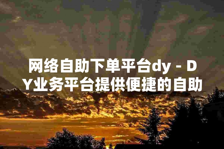 网络自助下单平台dy - DY业务平台提供便捷的自助下单服务，确保每一笔业务均由真人操作完成。