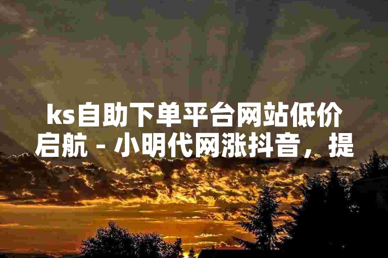 ks自助下单平台网站低价启航 - 小明代网涨抖音，提供便捷的服务，助力用户快速提升抖音账号的影响力。