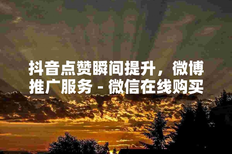 抖音点赞瞬间提升，微博推广服务 - 微信在线购买平台 - 5元增加抖音粉丝量。