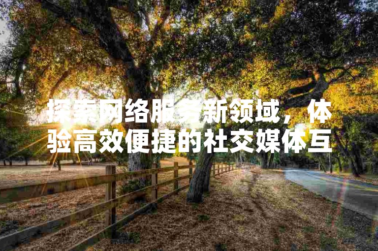 探索网络服务新领域，体验高效便捷的社交媒体互动工具。
