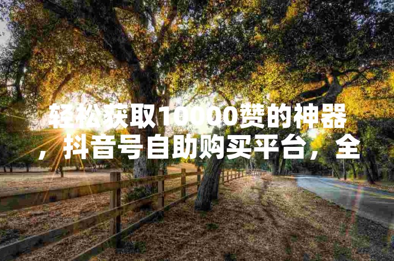 轻松获取10000赞的神器，抖音号自助购买平台，全天候自助下单商城。