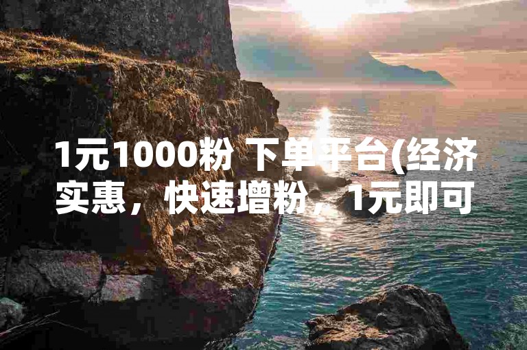 1元1000粉 下单平台(经济实惠，快速增粉，1元即可获得千粉的平台)