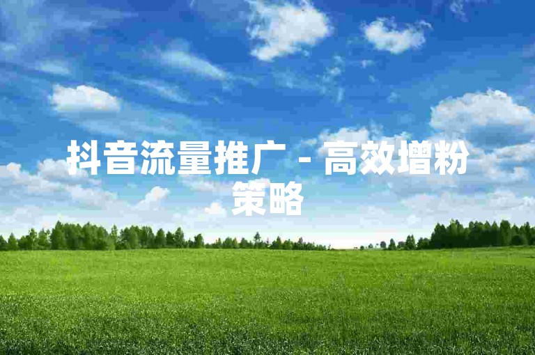 抖音流量推广 - 高效增粉策略