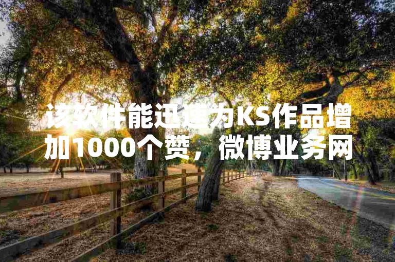 该软件能迅速为KS作品增加1000个赞，微博业务网也提供24小时不间断的秒单服务。