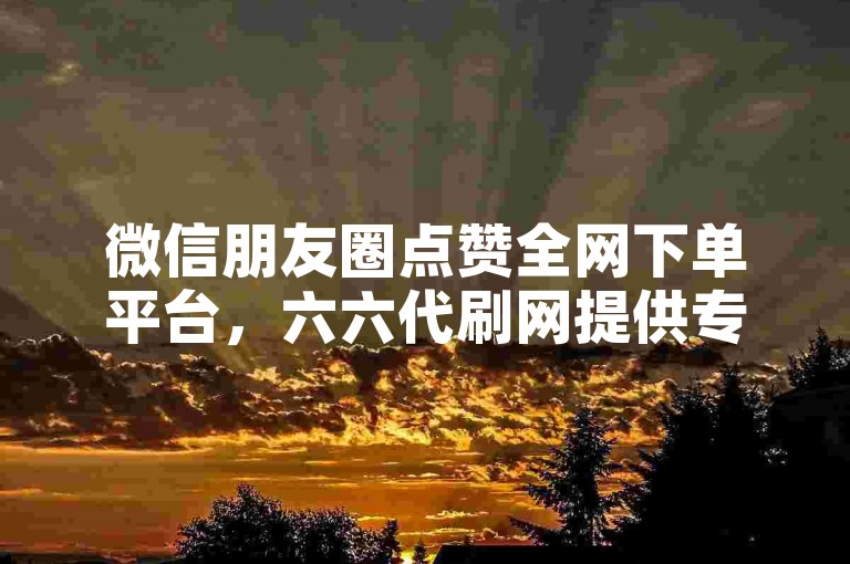 微信朋友圈点赞全网下单平台，六六代刷网提供专业服务。