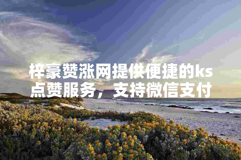 梓豪赞涨网提供便捷的ks点赞服务，支持微信支付。