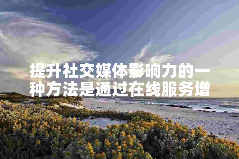 提升社交媒体影响力的一种方法是通过在线服务增加账户的浏览量。