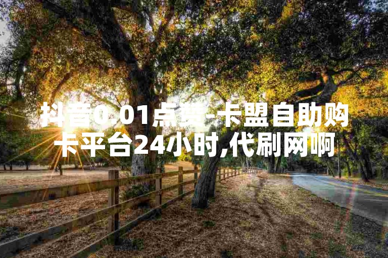 抖音0.01点赞-卡盟自助购卡平台24小时,代刷网啊