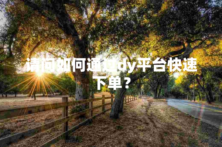 请问如何通过dy平台快速下单？