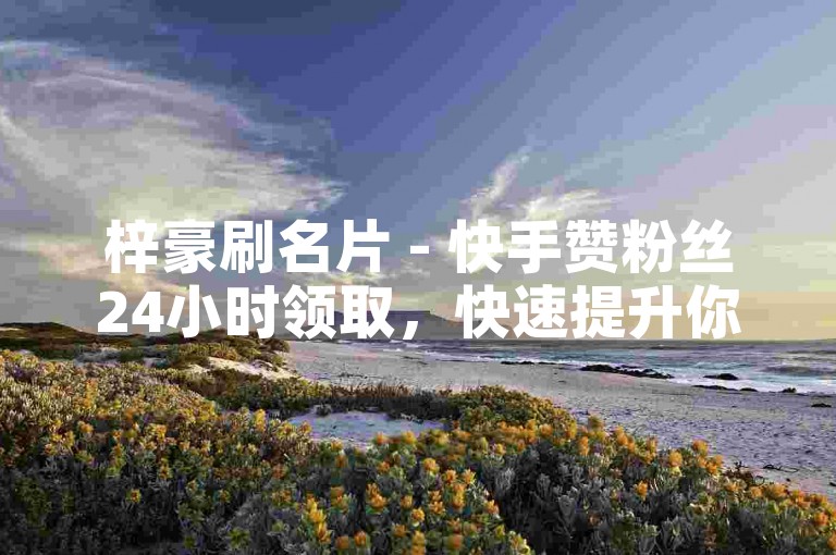 梓豪刷名片 - 快手赞粉丝24小时领取，快速提升你的社交影响力。