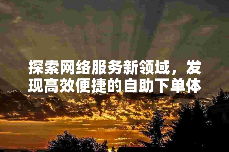 探索网络服务新领域，发现高效便捷的自助下单体验。