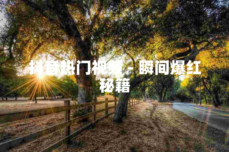抖音热门视频 - 瞬间爆红秘籍