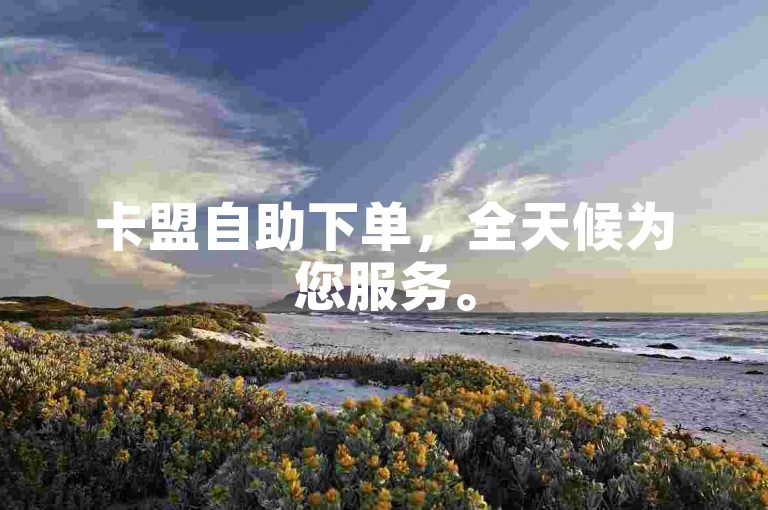 卡盟自助下单，全天候为您服务。