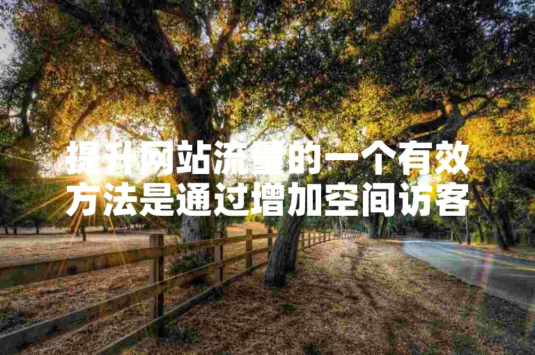 提升网站流量的一个有效方法是通过增加空间访客人数来实现。