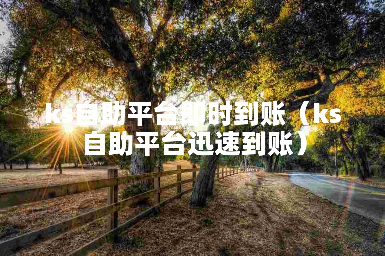 ks自助平台即时到账（ks自助平台迅速到账）
