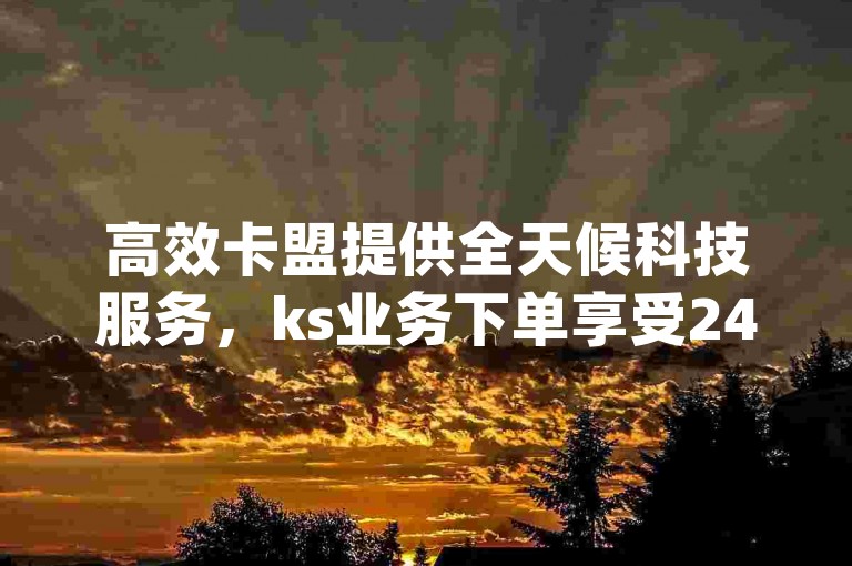 高效卡盟提供全天候科技服务，ks业务下单享受24小时特惠 - ks视频点赞评论一站式服务 - dy浏览量业务独家策略助力再创佳绩