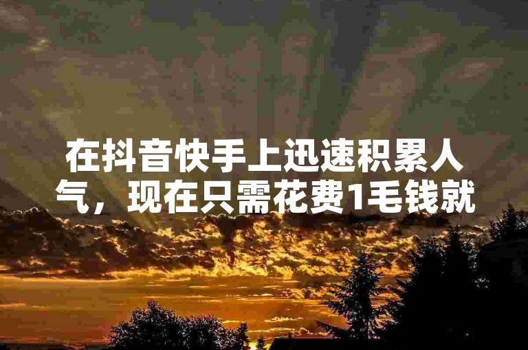 在抖音快手上迅速积累人气，现在只需花费1毛钱就能获得1000个赞，是新人快速增长粉丝的绝佳策略！
