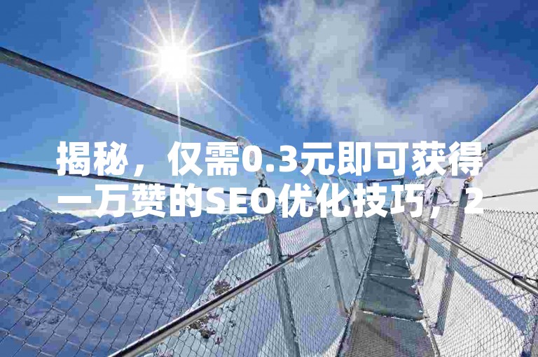 揭秘，仅需0.3元即可获得一万赞的SEO优化技巧，2025年必备技能！