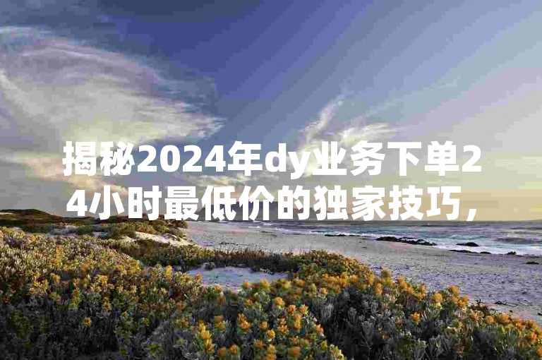 揭秘2024年dy业务下单24小时最低价的独家技巧，掌握最新策略，确保您以最优惠的价格下单！