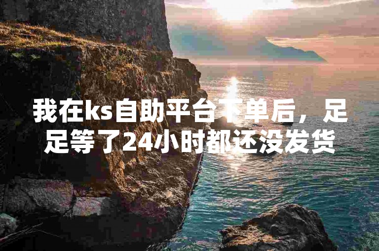 我在ks自助平台下单后，足足等了24小时都还没发货，而dy赞在线自助下单只需5毛，这差距真让人诧异。