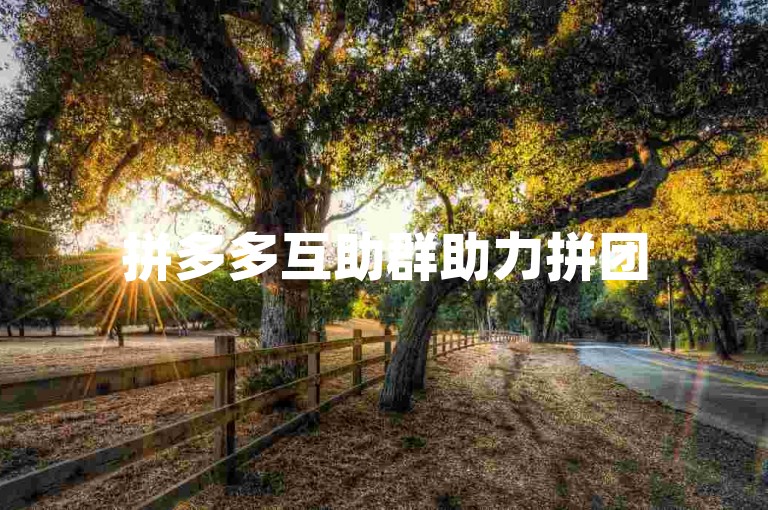 拼多多互助群助力拼团